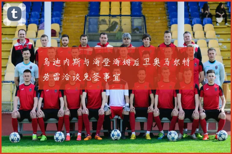 乌迪内斯与海登海姆后卫奥马尔特劳雷洽谈免签事宜
