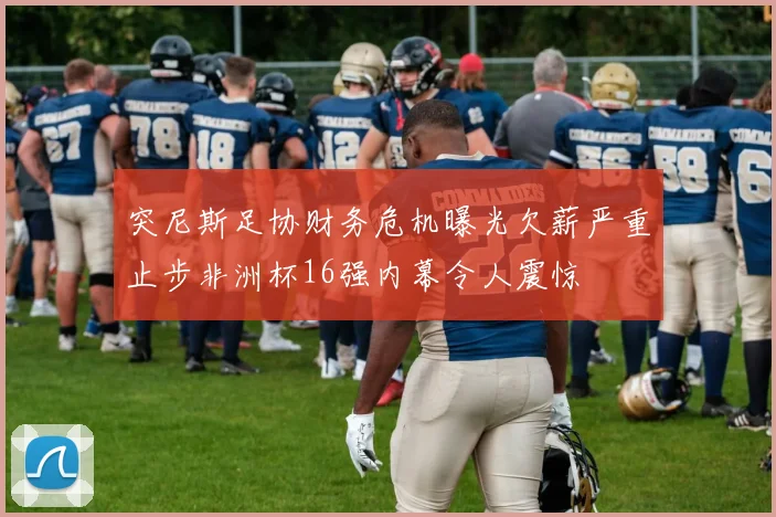 突尼斯足协财务危机曝光欠薪严重止步非洲杯16强内幕令人震惊