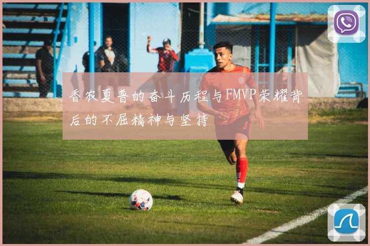 香农夏普的奋斗历程与FMVP荣耀背后的不屈精神与坚持