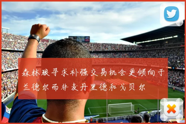 森林狼寻求补强交易机会更倾向于兰德尔而非麦丹里德和戈贝尔